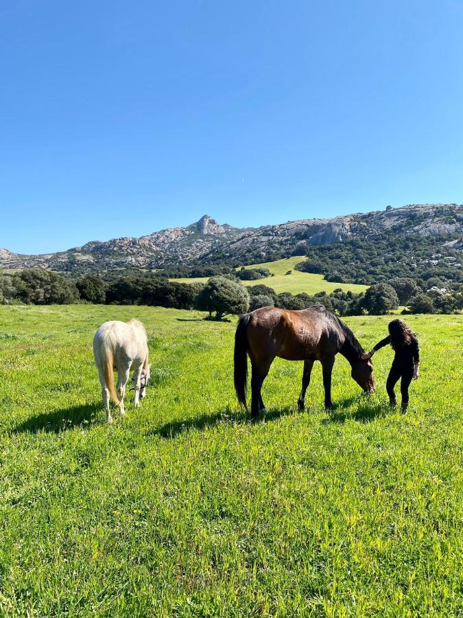 Agriturismo Lu Branu Arzachena Eksteriør billede