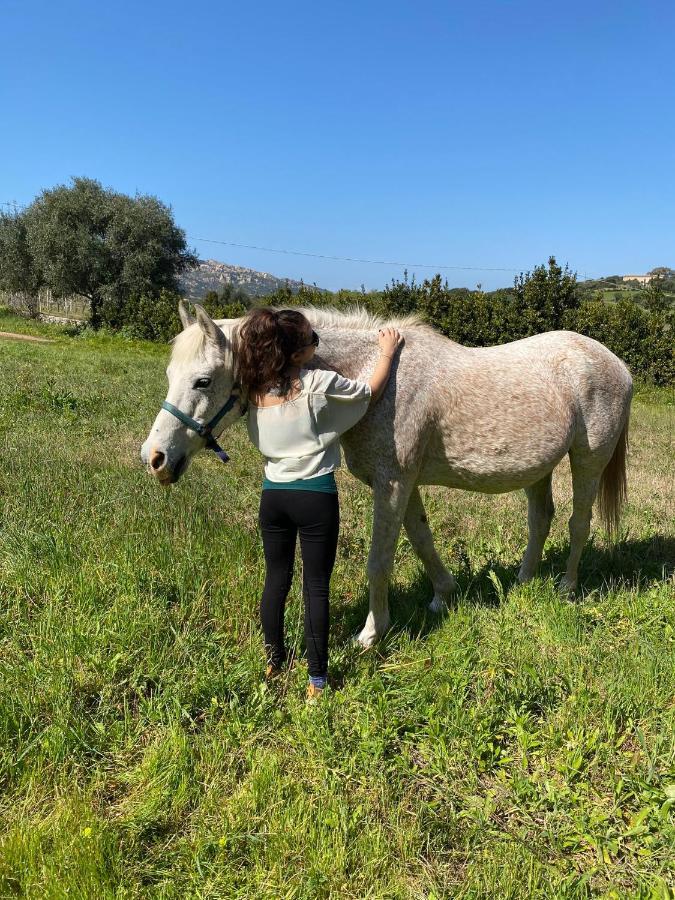 Agriturismo Lu Branu Arzachena Eksteriør billede