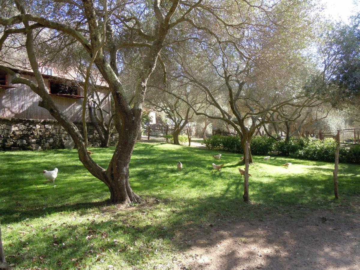 Agriturismo Lu Branu Arzachena Eksteriør billede